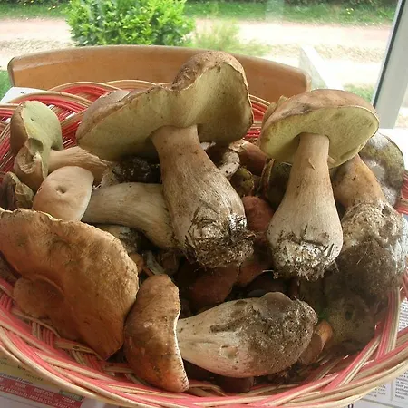 度假居 Domaine La Bourbonnaise